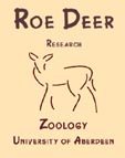 Roe Deer Research Group